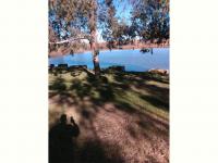  of property in Balfour