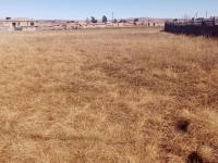  of property in Jameson Park