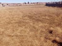  of property in Jameson Park