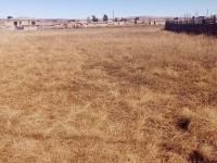  of property in Jameson Park