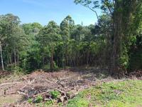  of property in Westville 