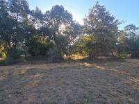  of property in Wigwam