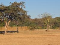  of property in Wigwam