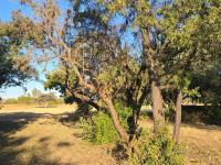  of property in Wigwam