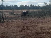 Land for Sale for sale in De Deur
