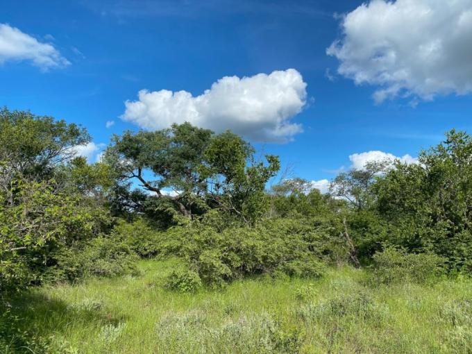 Land for Sale For Sale in Hoedspruit - MR686188