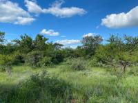  of property in Hoedspruit