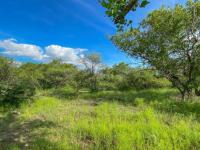  of property in Hoedspruit