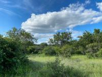  of property in Hoedspruit