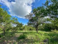  of property in Hoedspruit