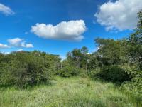  of property in Hoedspruit