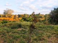  of property in Thohoyandou