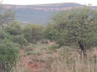  of property in Koster
