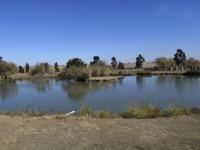  of property in Helderwyk Estate