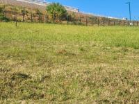  of property in Mount Edgecombe 