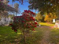  of property in Dorchester Heights