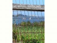  of property in Zeekoei Vlei