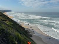  of property in Wilderness
