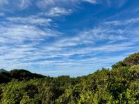  of property in Wilderness