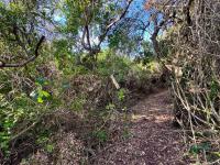  of property in Wilderness