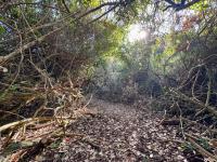 of property in Wilderness