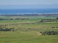  of property in Cape Farms