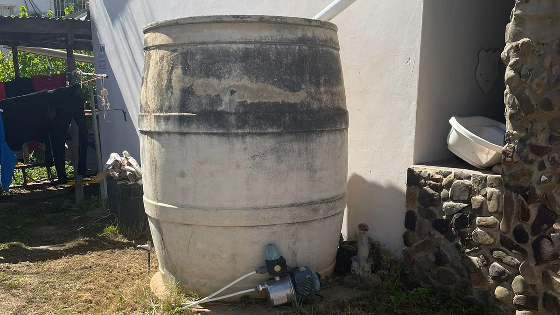 Backyard of property in Adelaide