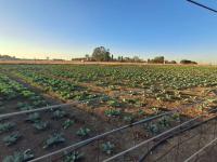  of property in Piet Retief
