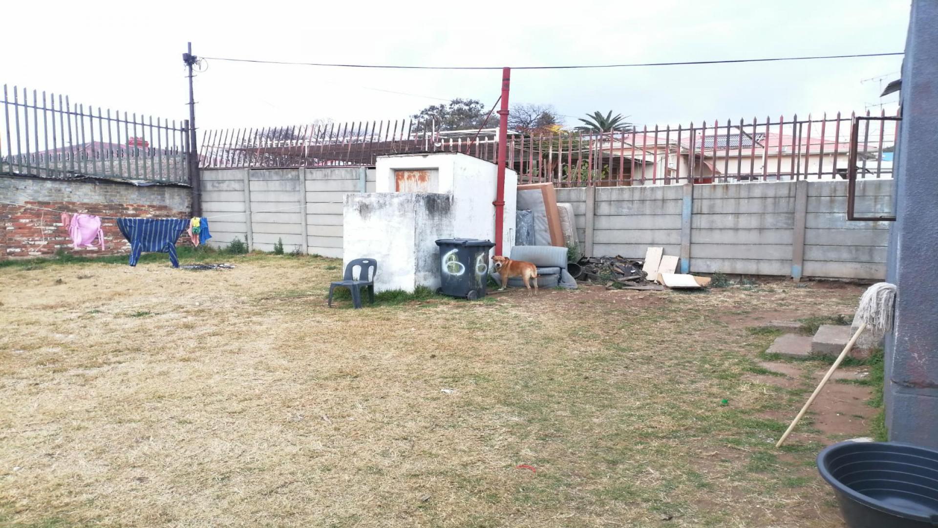 Backyard of property in Regents Park