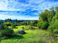  of property in Barrydale