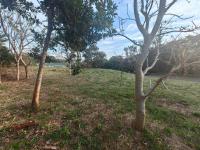  of property in Kelso