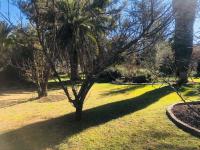  of property in Walkerville
