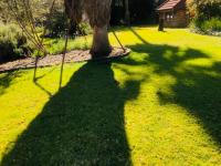  of property in Walkerville