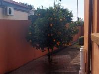  of property in Amandasig