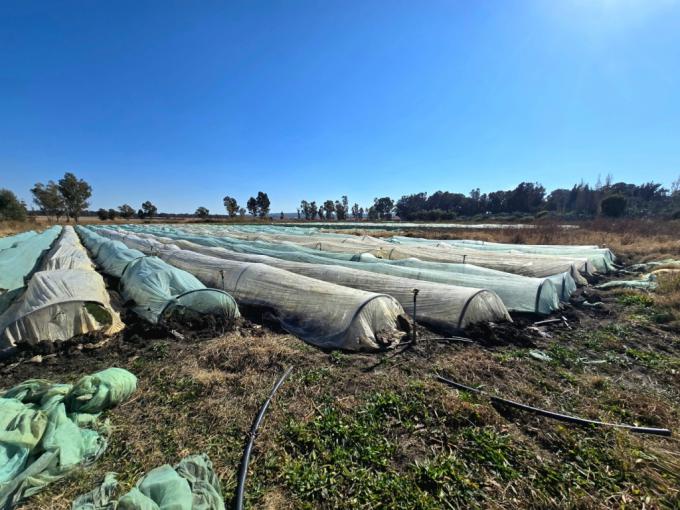 Land for Sale For Sale in Walkers Fruit Farms SH - MR686998