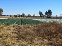  of property in Walkers Fruit Farms SH