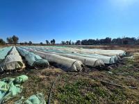  of property in Walkers Fruit Farms SH