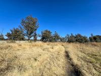  of property in Walkers Fruit Farms SH