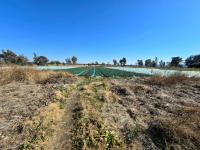  of property in Walkers Fruit Farms SH