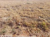  of property in Mokopane (Potgietersrust)