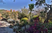  of property in Nelspruit Central
