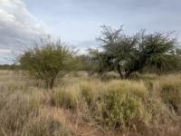  of property in Olifantshoek