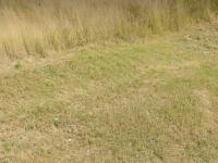  of property in Komati