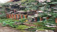 Garden of property in Greyton