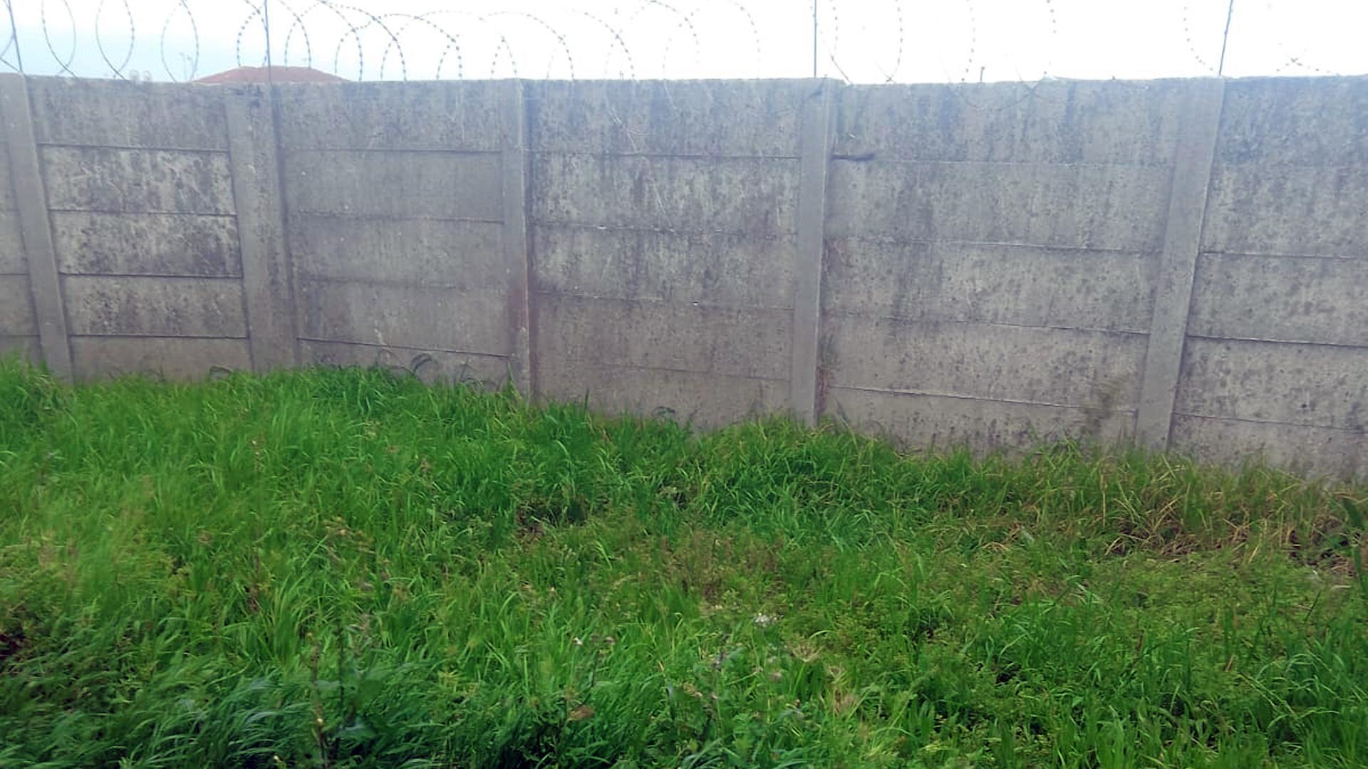 Backyard of property in Philipi