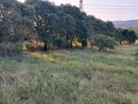  of property in Mandini