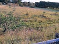  of property in Mandini