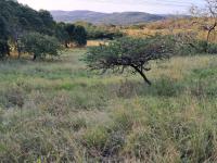 of property in Mandini