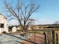  of property in Emalahleni (Witbank) 