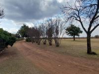  of property in Emalahleni (Witbank) 